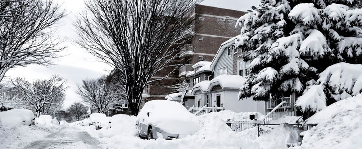 Csodájára jár a világ a magyar lakótelepnek, páratlan hószörny tűnt fel a kertekben