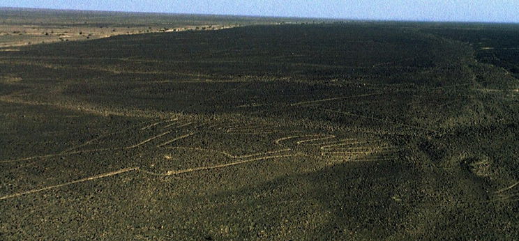 Világszenzáció, Magyarországon jelentek meg a Nazca-vonalak, a havazás példátlan dolgot művelt 