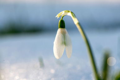 Közölték a meteorológusok, érkezik a melegedés, ennyit kell meg kibírni a kőkemény télből