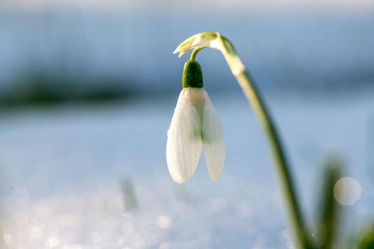 Közölték a meteorológusok, érkezik a melegedés, ennyit kell meg kibírni a kőkemény télből