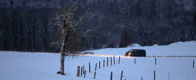 Hátborzongató alak bicegett az egyik hazai főúton, a kamerás lába azonnal odafagyott a jégpáncélra - Milyen vármegyei élőlény lehetett?