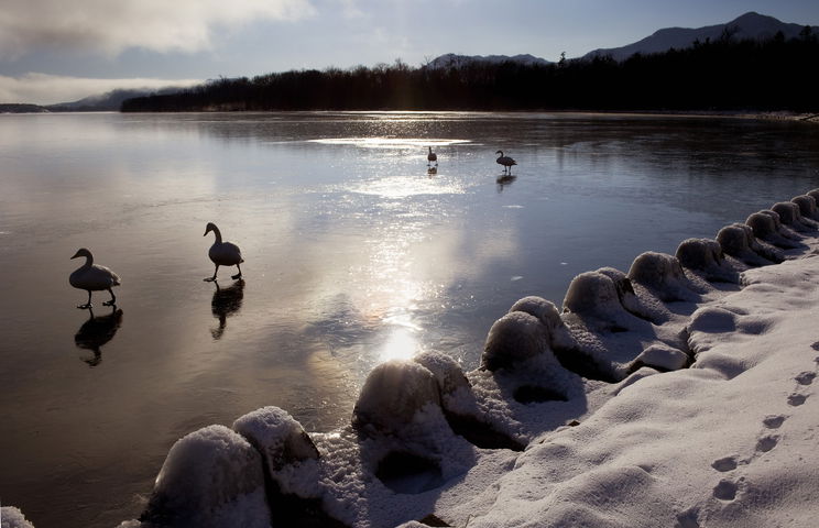 Borzalom, ami a Balatonon történt a befagyás után, azonnal intézkedtek a rendőrök
