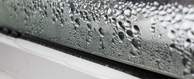 Megtalálták a tökéletes megoldást a télen párásodó ablakok ellen, azonnal eltűnik, ha ezt csinálod