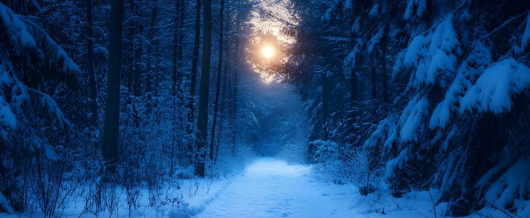 Iszonyatos dolgot találtak a Magyarországon lehullott hóban, valami nagyon nem stimmel