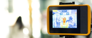 Milliókat érő állatot fogtak Pest vármegyében, hőkamerás drón mérte be a magasból