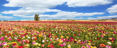 Ekkor ér véget a tél, így robban be a tavasz az évtized leghidegebb tele után majd hazánk területén?