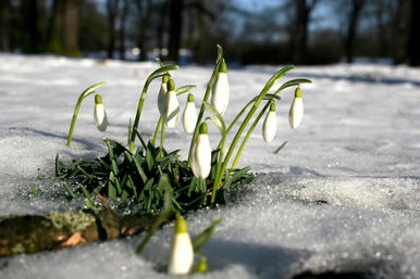 Végre tudják a meteorológusok, mikor érkezik a tavasz, az idei évünk nagyon más lesz, mint amit megszoktunk