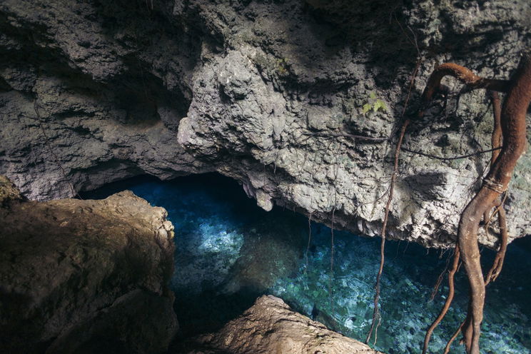Felnyitottak egy barlangot, több tízezer éves ember-állat hibrid alak került elő, évtizedekig sokkolta a tudósokat a felfedezés