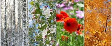 Ekkor robban be a tavasz hazánk területére, készülj fel, milliók lepődnek meg ezen az előrejelzésen 