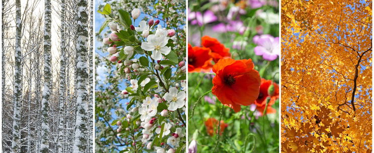 Ekkor robban be a tavasz hazánk területére, készülj fel, milliók lepődnek meg ezen az előrejelzésen 