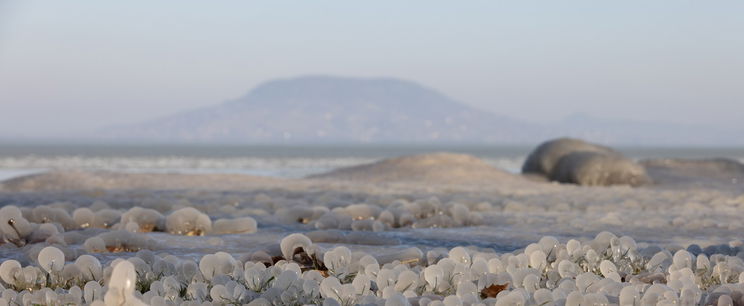 Irtózatos, ami megjelent a Balaton jegén, a veszély komoly, már ki is adták a figyelmeztetést