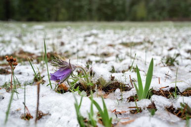 Közölték a meteorológusok, fel kell készülni a sarkvidéki hidegre, de már tudjuk végre, mikor jön az igazi tavasz