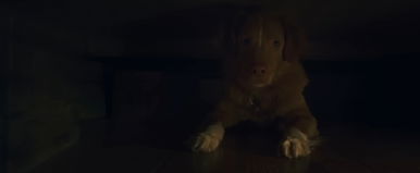 Ebben a hideglelős filmben nem fogod elhinni a főszereplőt, szenzációs tehetséggel veri kenterbe a természetfeletti filmek hangulatát