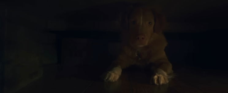 Ebben a hideglelős filmben nem fogod elhinni a főszereplőt, szenzációs tehetséggel veri kenterbe a természetfeletti filmek hangulatát