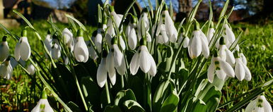 Bejelentették, itt a tavaszias fordulat, mégis súlyos riasztásokat adtak ki 9 vármegyére az érkező ítéletidő miatt - Időjárás-előrejelzés 
