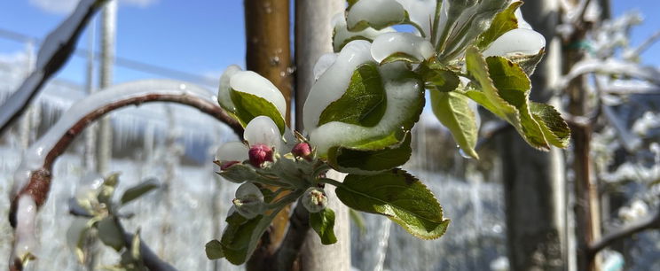 Csúszik a tavaszkezdés, hétvégén havazás lepi meg a magyarokat - Időjárás-előrejelzés