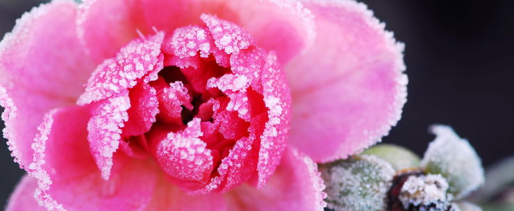 Olyan brutális időjárási változással kezdődik a február, amire nem vagy felkészülve már