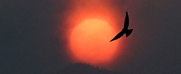 Őrült melegedésbe torkollik a havazás, itt a dátum, nagy hőmérséklet-emelkedés jön hazánkban, készülhet az egyik országrész?