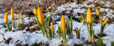 Mindent felforgat a februári időjárás, erre nem tudtál felkészülni - a friss időjárás-előrejelzések bizony jelentős ugrást mutatnak a hőmérsékletben