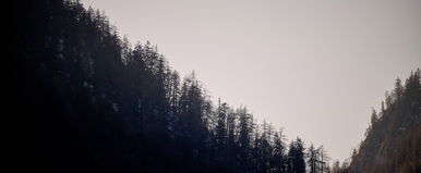 Ősi magyar földön bukkantak rá idegenek az európai „Bermuda-háromszögre”, sikoltva szaladtak ki a sötét erdőből