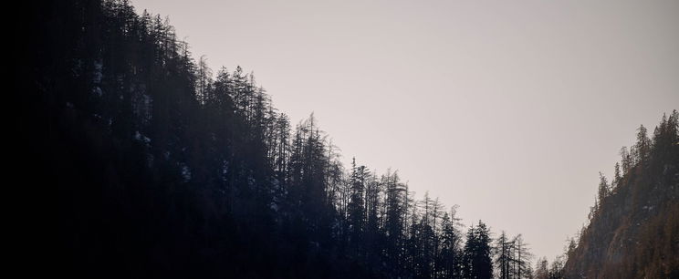 Ősi magyar földön bukkantak rá idegenek az európai „Bermuda-háromszögre”, sikoltva szaladtak ki a sötét erdőből