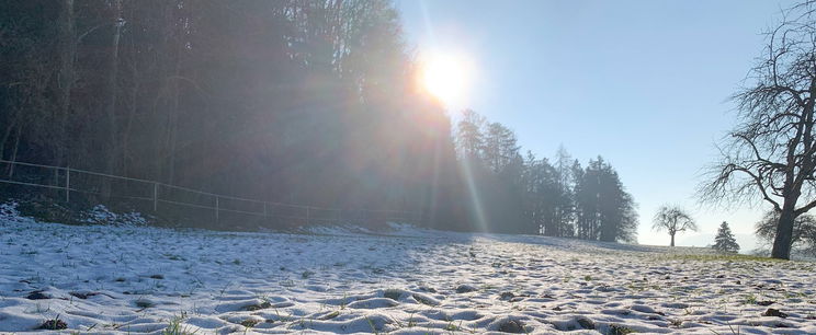 Kiderült, mikor tér vissza a tavasz, pontos napot közöltek az időjósok - Időjárás-előrejelzés