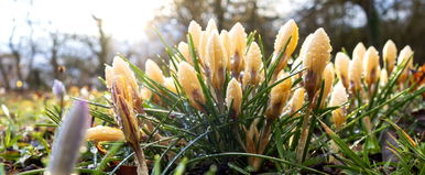 Betör az enyhülés az országba, azonban az időjósok óvatosságra intenek – időjárás-előrejelzés