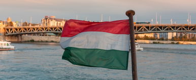 Magyar buszmegállón sokkol az internet, a külföldiek a fejüket fogják, íme a kép, amitől eláll a szavad