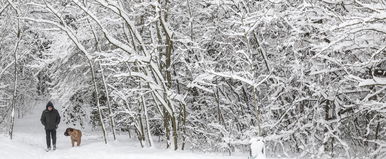 Most érkezett, az időjósok kongatják a téli vészharangot, brutális hideg csaphat le Európára és Magyarországra napokon belül