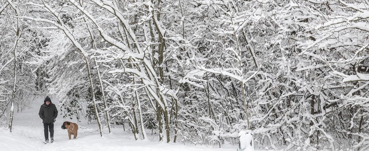 Most érkezett, az időjósok kongatják a téli vészharangot, brutális hideg csaphat le Európára és Magyarországra napokon belül