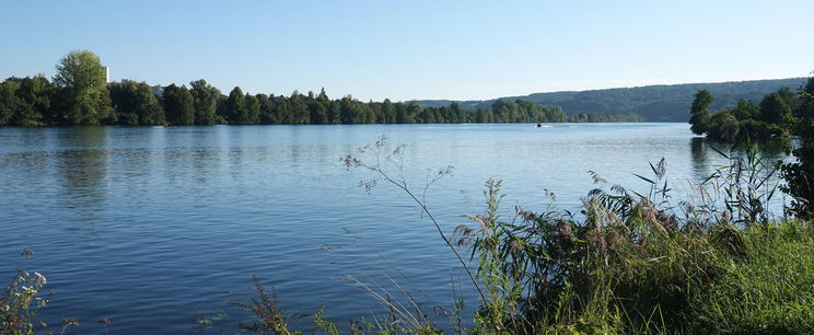 Titkok kerültek elő a Dunából, ezt emelték ki Paksnál a mederből