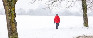 3 vármegyére kiadták a riasztást, itt a havazás, két hullámban csap le az újabb mediterrán ciklon - Időjárás-előrejelzés