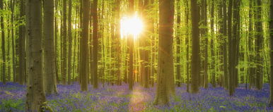 Itt a dátum, már tudjuk, ekkor ér véget a tél Magyarországon, ekkor köszönt be az igazi tavasz a legfrissebb időjárás-előrejelzések szerint?