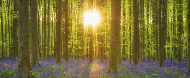 Itt a dátum, már tudjuk, ekkor ér véget a tél Magyarországon, ekkor köszönt be az igazi tavasz a legfrissebb időjárás-előrejelzések szerint?