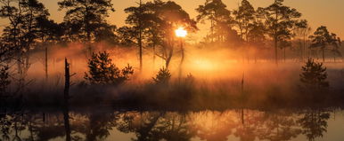 Emberméretű ragadozót kaptak el a magyar tónál, brutális küzdelem zajlott az elfogásáért