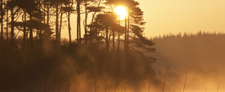 Emberméretű ragadozót kaptak el a magyar tónál, brutális küzdelem zajlott az elfogásáért