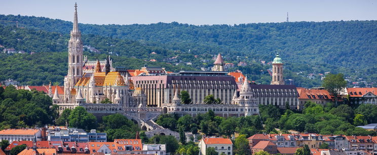 Óriási kincset találtak Budapest szélén, az országban csupán egy helyen található