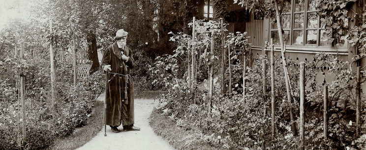 Ezek voltak Jókai Mór utolsó szavai a halála előtt, megrázó minden egyes szó