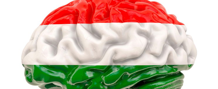 Kvíz: Rubik-kocka, golyóstoll vagy a C-vitamin? Csak az igazi lángelmék tudják, melyik magyar találmány kihez köthető