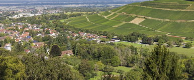 Világsztár lett a zempléni projekt, egy magyar fotón szórakoznak a külföldi mémoldalak