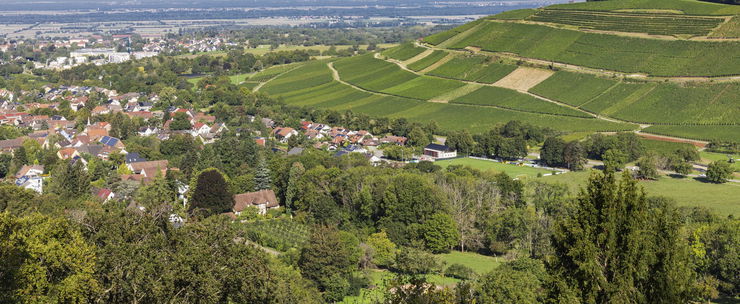 Világsztár lett a zempléni projekt, egy magyar fotón szórakoznak a külföldi mémoldalak