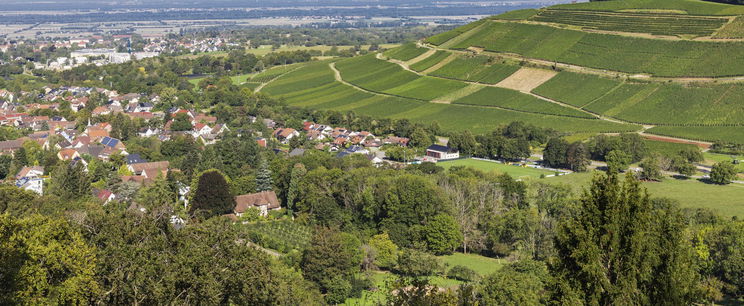 Világsztár lett a zempléni projekt, egy magyar fotón szórakoznak a külföldi mémoldalak