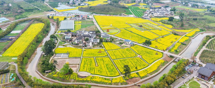 Észveszejtő világszenzáció lett egy magyar település neve, 9 millió magyar sosem hallotta még