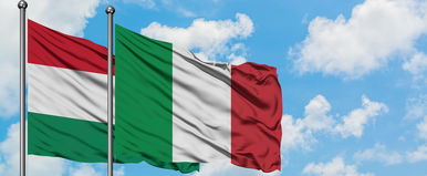 Kvíz: a magyarok 69% százaléka nem tudja mit jelentenek pontosan