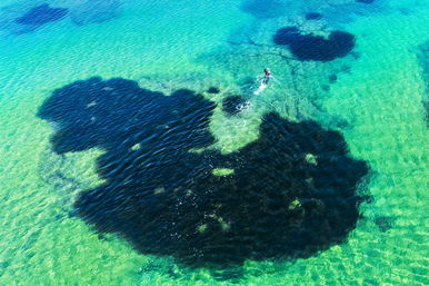 Új óceán születik a Földön, a szemünk láttára szakad ketté egy kontinens