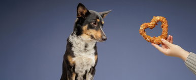 Kvíz: a legtájékozottabbak is maximum 10-ből 9 pontot tudnak elérni, pedig ez egy könnyű kvíz szeretne lenni