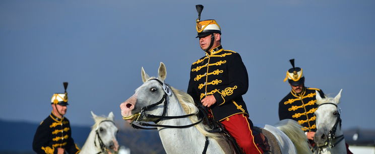 Sokkoló, ezt írják a 48-as magyar szabadságharcról az osztrák iskolai tankönyvek