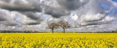 Már tudjuk az áprilisi időjárást, hanyatt fogsz vágódni, ha megtudod