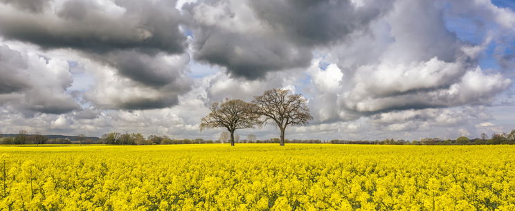 Már tudjuk az áprilisi időjárást, hanyatt fogsz vágódni, ha megtudod