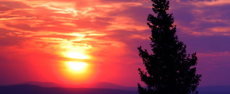 Rendkívüli, ilyen lesz a 2026-os nyár, azonnal hátast dobsz a friss előrejelzéstől